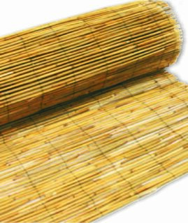 kalamoti