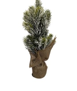 dentraki_xristoug_40cm