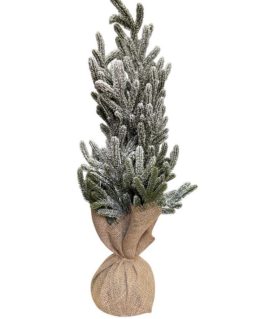 dentraki_xristoug_50cm