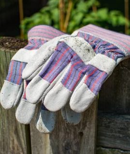 ΓΑΝΤΙΑ ΕΡΓΑΣΙΑΣ - ΚΗΠΟΥ